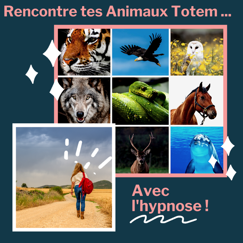 Animaux Totem Hypnose